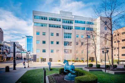 175 LEX - Walkable Downtown Lexington & Rupp Arena - Full Condos