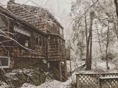 Peaceful Gateway to Island Creek Cottage