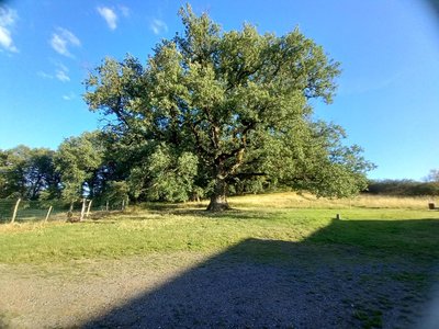 La Tuilerie