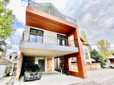 Laneway Haus