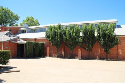 The Houston Wagga