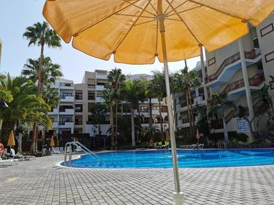 Studio with shared pool enclosed garden and wifi at Palm Mar