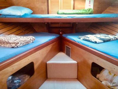 Oceania Boat Tour