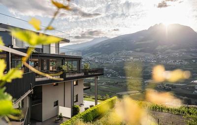 Vinea - Suites
