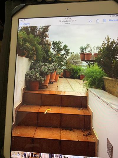 Holidays Pelion studio