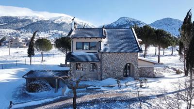 Villa Dianne Apt 1 Livadi Arachovas
