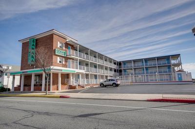 Sahara Motel, 写真 2