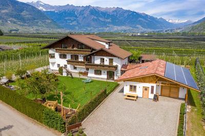 Kammerhof Apartment Traube