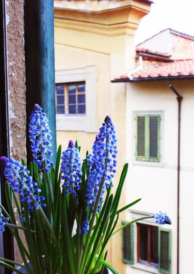Appartamento in via San Gallo