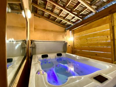 Patio, Jacuzzi Professionnel, Table de Massage, Climatisé, Le Cocon de Pedro