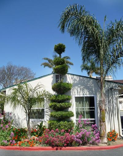 Mission Bell Motel, Billede 2