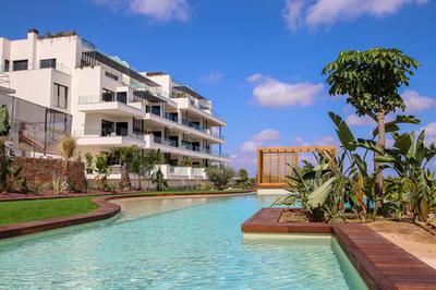 Las Colinas Dreams Limonero 30