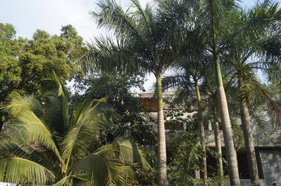A Son de Mar - Playa Las Gatas acceso por mar