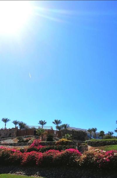 Queen Sharm Italian Club