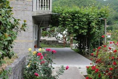 Apartment in nature