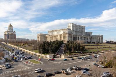 HOLT - Bagheera and Mowgli