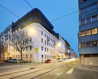 Jimmy's Apartments Dandelion