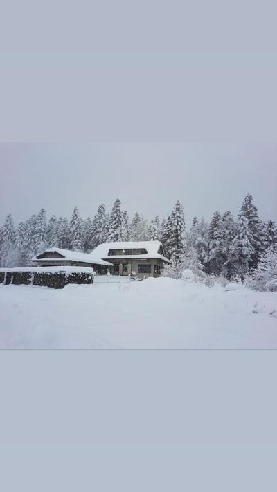 LYNX HOUSE