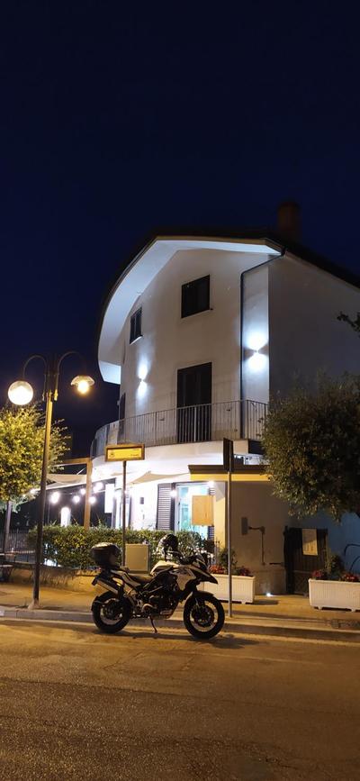 b&b Telesilla