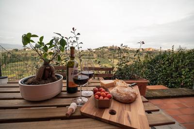 Lemon Garden House