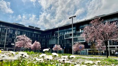 Open Space, centrale e luminoso, in classe A