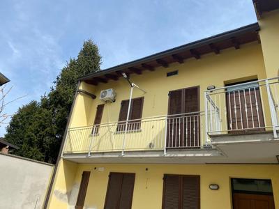 Il Tulipano