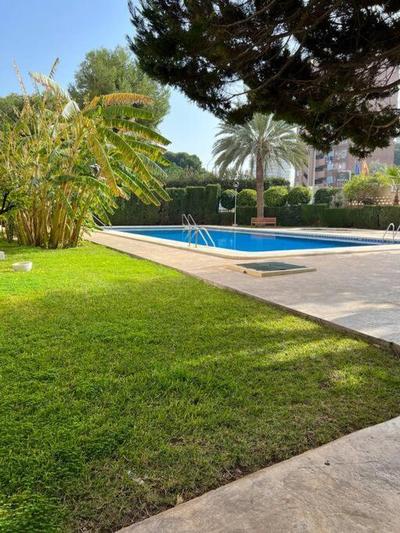 Apartamento Levante
