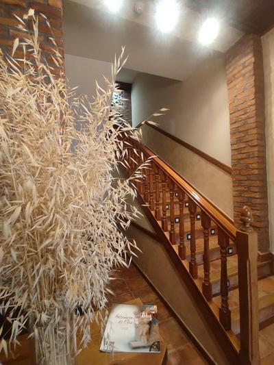 Hostal la Cepa