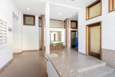 fronte mare - viareggio - movida