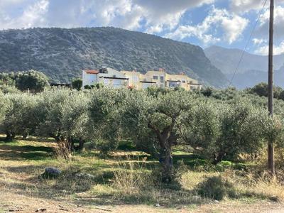 Sissi - Villa Eleftheria