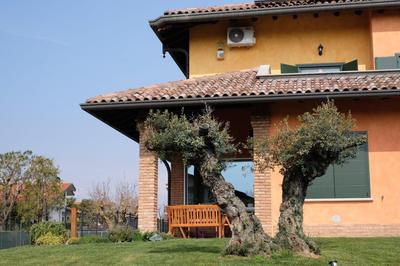 B&B Belvedere