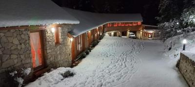BOG Altos de Antilhue - Apart con vista al bosque