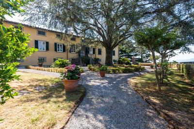 Villa Leone by Mmega