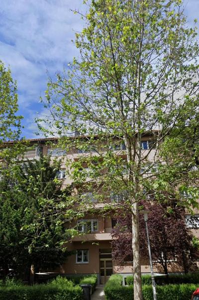 Court Crossing Apartment