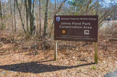 Nature Lover's Pondside Getaway