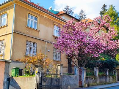 Studio apartmani L'ART