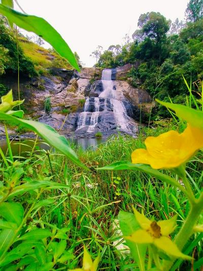 DILSHAN HOTEL Diyaluma