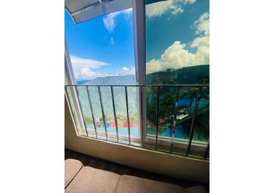 Tangerine Darjeeling