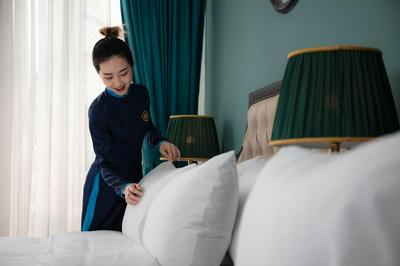 Madelise Palace Hotel & Travel