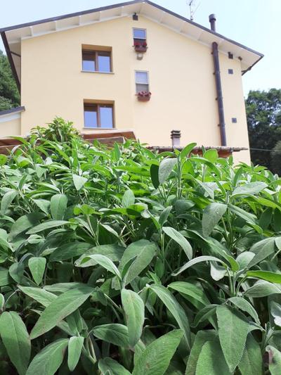 Il Rifugio nel Comero