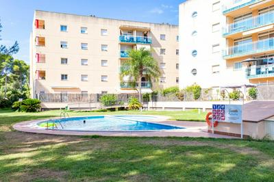 Homes & Go Golden Pineda