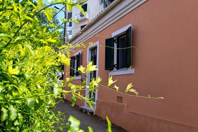 Casa Paleopolis
