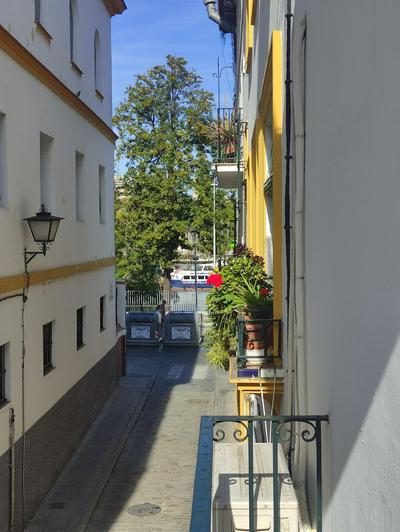 Vive Triana