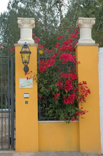 Villa Rosemary