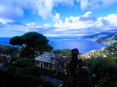 CASAVIVA - Bilo with SeaView and parking in Camogli