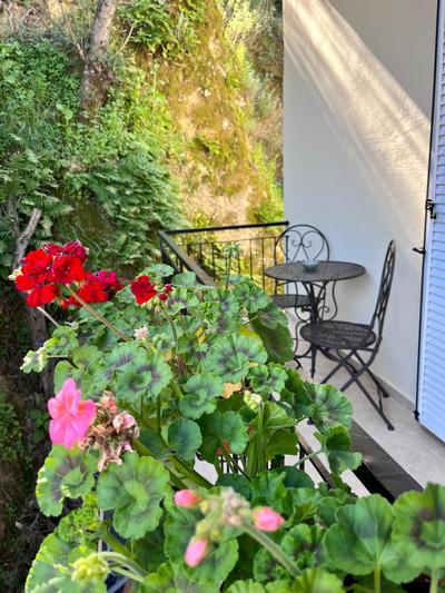 Helena's Apartment in Corfu town