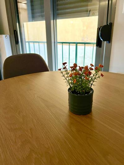 Smart Lux Apartment B
