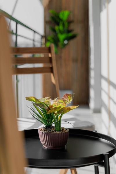 Sunny & Modern apt for 3 persons