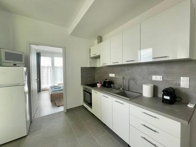 Swallow Apartment I FreeParking — Budapest photo 2