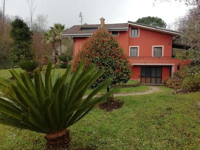 la tana nel bosco